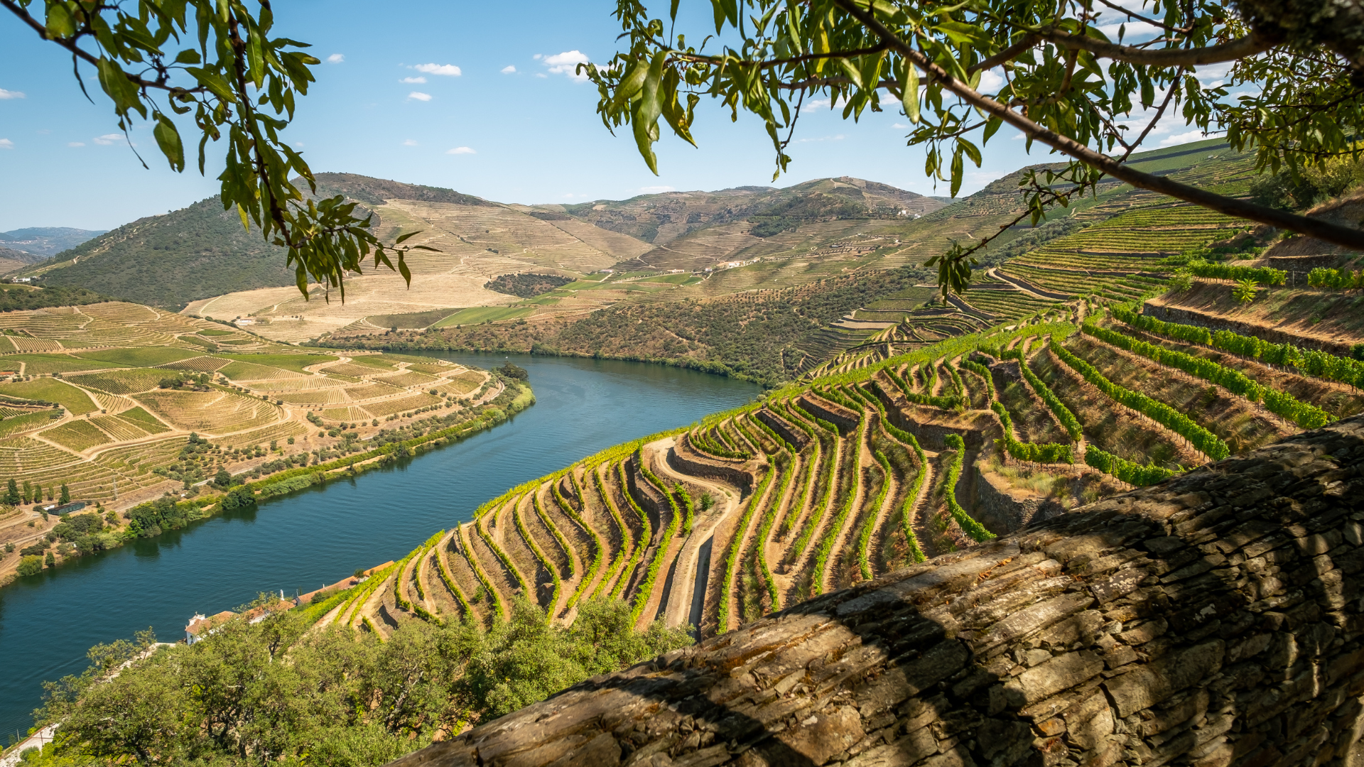 Hiking and Sipping Portugals Best Trails (3)